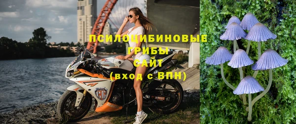 бутират Алзамай