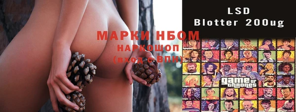 Альфа ПВП Осинники